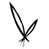 Store avatar for Bamboo Body