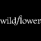 Store avatar for Wildflower Cases